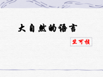 第5课《大自然的语言》PPT课件2-八年级语文下册统编版