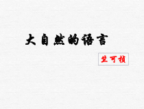 第5课《大自然的语言》PPT课件10-八年级语文下册统编版