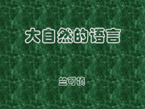 第5课《大自然的语言》PPT课件9-八年级语文下册统编版