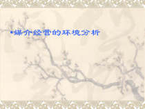 讲媒介经营的环境分析课件