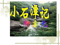 第10课《小石潭记》PPT课件2-八年级语文下册统编版