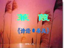 第12课《诗经两首-蒹葭》PPT课件3-八年级语文下册统编版