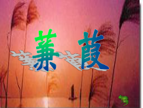 第12课《诗经两首-蒹葭》PPT课件1-八年级语文下册统编版