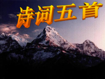 第14课《应有格物致知精神》PPT课件5-八年级语文下册统编版
