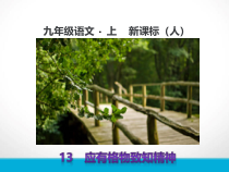 第14课《应有格物致知精神》PPT课件9-八年级语文下册统编版