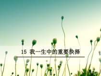 第15课《我一生中的重要抉择》PPT课件5-八年级语文下册统编版