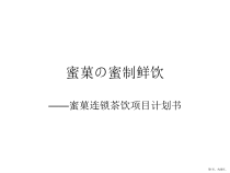 连锁店计划书课件