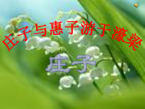 第21课《庄子-故事两则-庄子与惠子游于濠梁》PPT课件8-八年级语文下册统编版