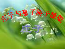 第21课《庄子-故事两则-庄子与惠子游于濠梁》PPT课件20-八年级语文下册统编版