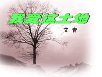 第2课《我爱这土地》PPT课件4-九年级语文上册统编版