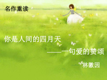 第4课《你是人间的四月天》PPT课件4-九年级语文上册统编版