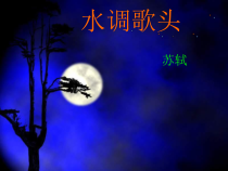 第13课《诗词三首-水调歌头(明月几时有)》PPT课件4-九年级语文上册统编版