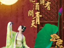 第13课《诗词三首-水调歌头(明月几时有)》PPT课件12-九年级语文上册统编版
