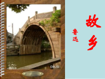 第14课《故乡》PPT课件5-九年级语文上册统编版