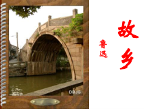 第14课《故乡》PPT课件8-九年级语文上册统编版