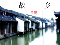 第14课《故乡》PPT课件15-九年级语文上册统编版