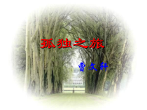 第16课《孤独之旅》PPT课件5-九年级语文上册统编版