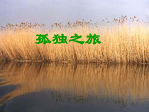 第16课《孤独之旅》PPT课件16-九年级语文上册统编版