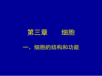 《第一节 细胞》PPT课件7-北京版生物七年级上册
