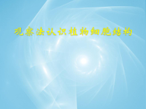 《第一节 细胞》PPT课件9-北京版生物七年级上册