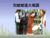 第24课《刘姥姥进大观园》PPT课件2-九年级语文上册统编版
