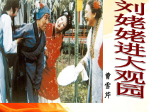第24课《刘姥姥进大观园》PPT课件1-九年级语文上册统编版