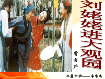第24课《刘姥姥进大观园》PPT课件4-九年级语文上册统编版