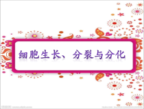 《第一节 细胞》PPT课件10-北京版生物七年级上册