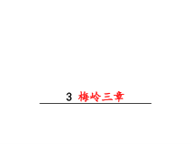 第3课《梅岭三章》PPT精品课件-九年级语文下册统编版