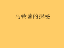 马铃薯探秘-七年级下册综合实践