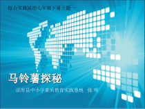 马铃薯探秘教师用-七年级下册综合实践