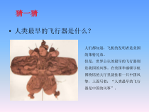风筝的创作-八年级下册综合实践