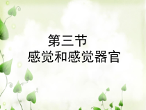 《第三节 感觉和感觉器官》PPT课件3-北京版生物七年级下册