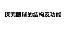 《第三节 感觉和感觉器官》PPT课件4-北京版生物七年级下册