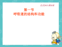 《1.呼吸道的结构与功能》PPT课件3-北京版生物七年级下册