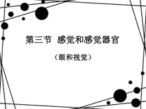 《第三节 感觉和感觉器官》PPT课件2-北京版生物七年级下册