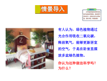 《第二节 绿色植物的呼吸》PPT课件2-北京版生物七年级下册