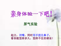 《1.呼吸道的结构与功能》PPT课件1-北京版生物七年级下册