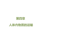 《1.血液》PPT课件1-北京版生物七年级下册