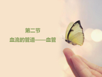 《3.血管》PPT课件3-北京版生物七年级下册