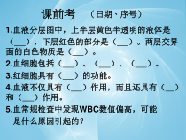 《3.血管》PPT课件5-北京版生物七年级下册