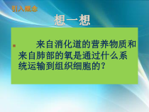 《5.血液循环》PPT课件1-北京版生物七年级下册