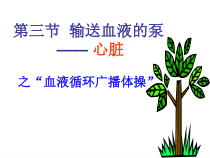 《5.血液循环》PPT课件2-北京版生物七年级下册