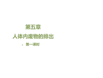 《第二节 尿液的形成和排出》PPT课件1-北京版生物七年级下册