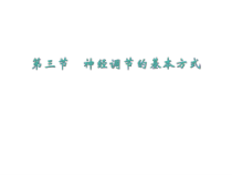 《第二节 神经调节的基本方式》PPT课件2-北京版生物七年级下册