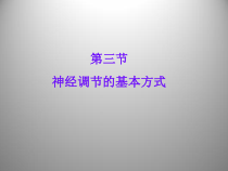 《第二节 神经调节的基本方式》PPT课件3-北京版生物七年级下册