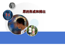 《第二节 尿液的形成和排出》PPT课件2-北京版生物七年级下册