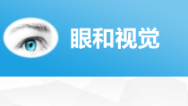 《第三节 感觉和感觉器官》PPT课件1-北京版生物七年级下册