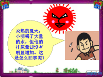 《第三节 汗液的排出》PPT课件1-北京版生物七年级下册