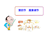 《第四节 激素调节》PPT课件1-北京版生物七年级下册